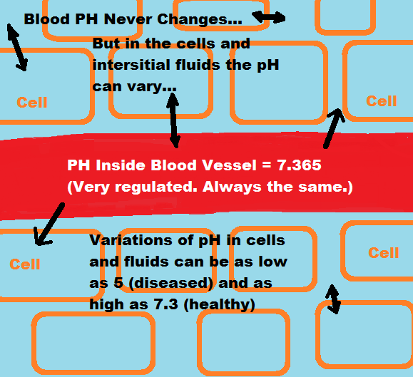 pH level in blood