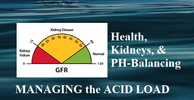 Managing the “Acid Load” for Healthy Organs