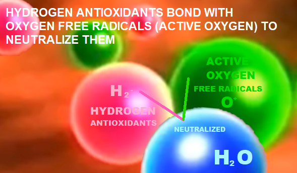 Understanding Antioxidants and Ionized Water