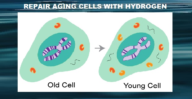 Free-Hydrogen and Cellular Aging (Senescence)