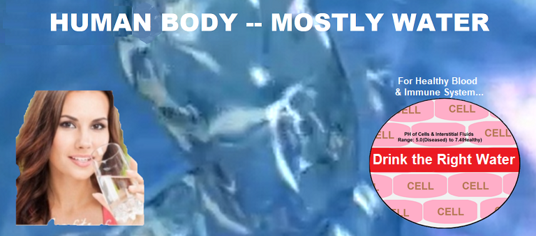 Body is mostly water