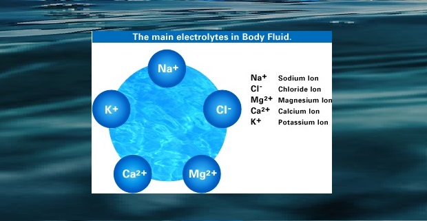 Ionized Water and Electrolytes in the Body