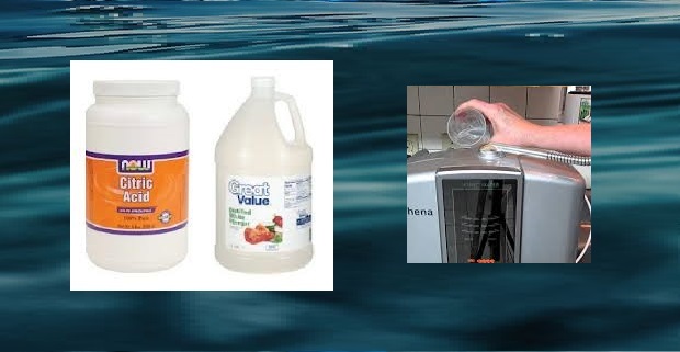 Vinegar vs Citric Acid Wash: Which is Better to Clean Your Water Ionizer?